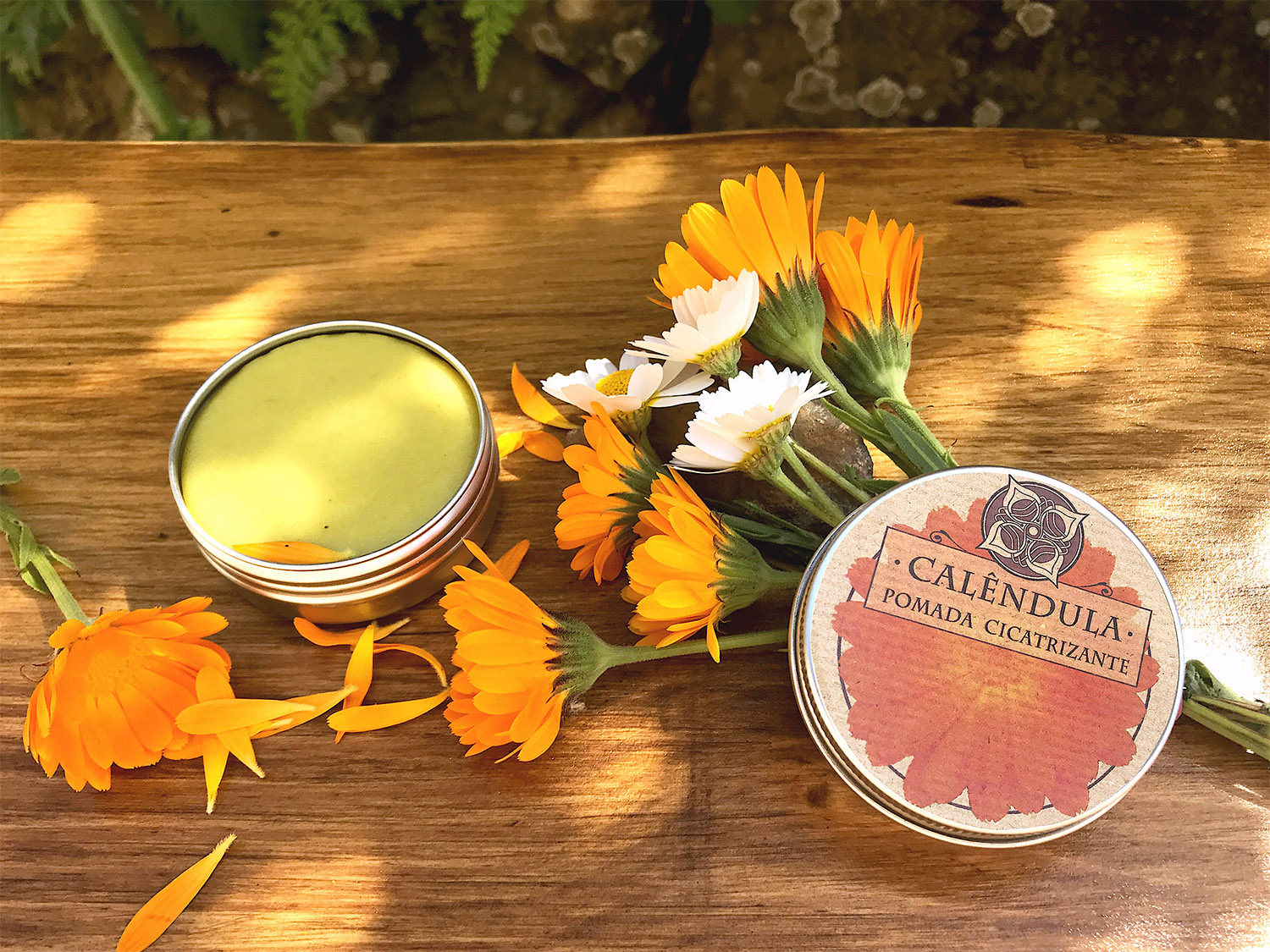 Healing Salve <FONT size="4"></FONT> - Image 6