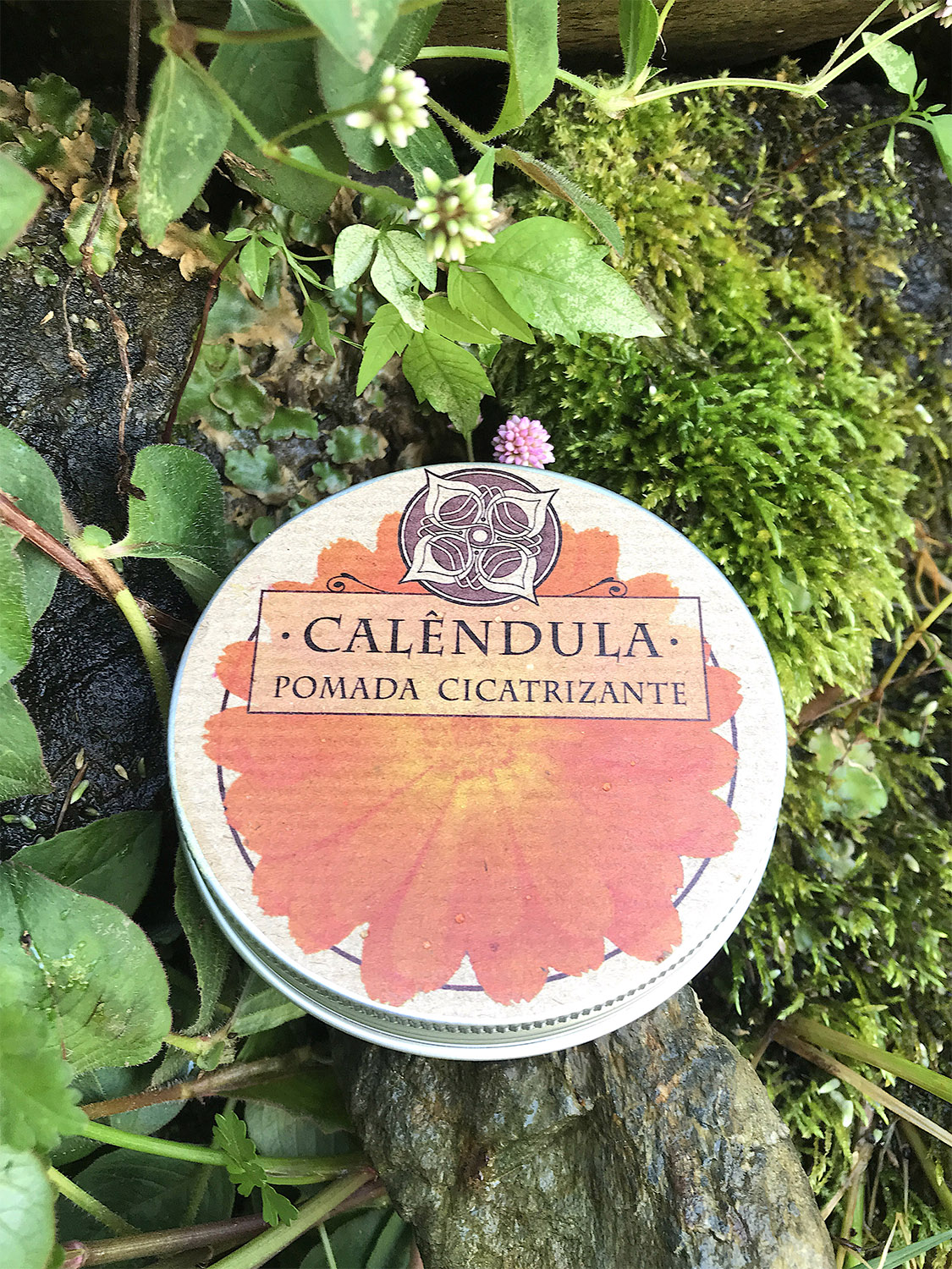 Healing Salve <FONT size="4"></FONT> - Image 9